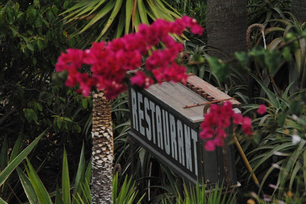 La Ferma Bed & Breakfast M'Diq Bagian luar foto