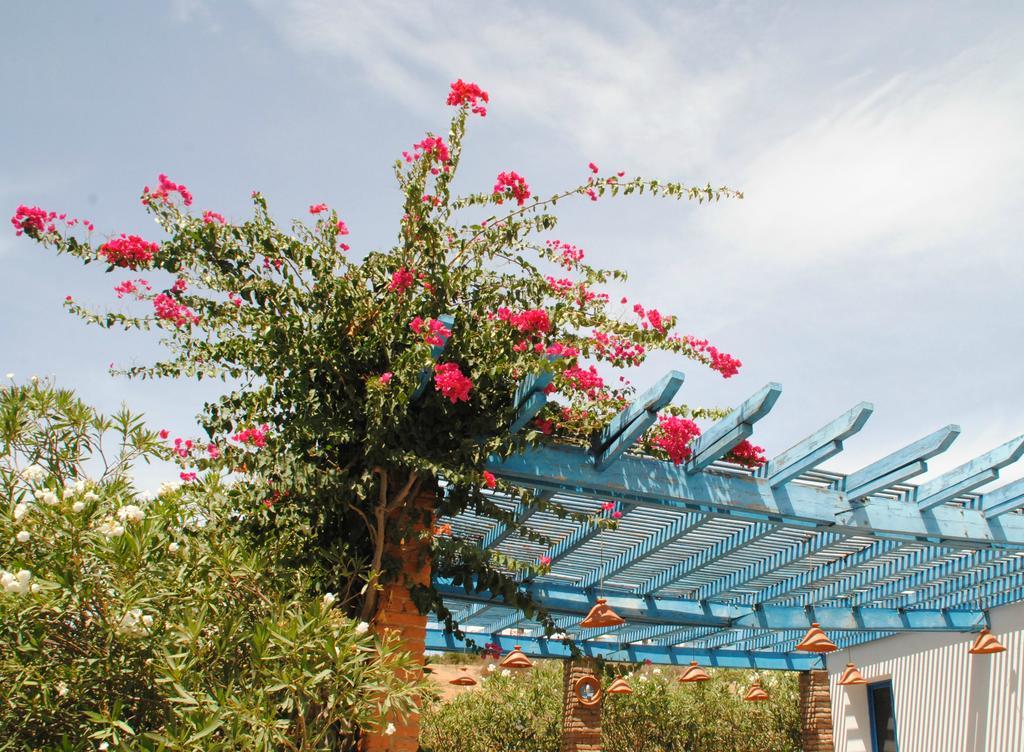 La Ferma Bed & Breakfast M'Diq Bagian luar foto